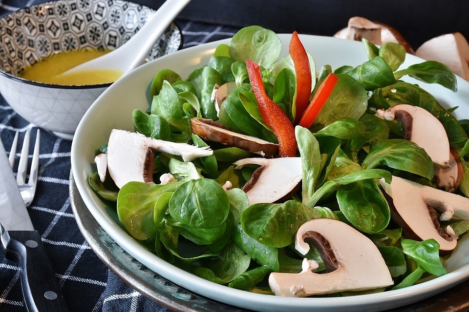 12 рецептов заправки салатов из свежих (вкусных) овощей