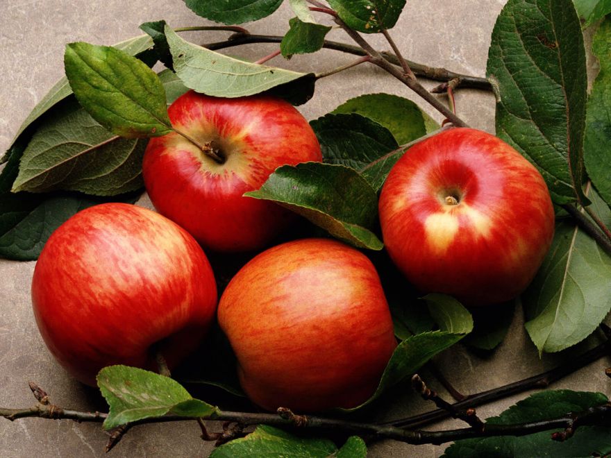 Яблочная монодиета на 7 дней- принципы методики, отзывы, результаты, фото до и после диеты. Что будет, если есть яблоки каждый день? Отвечает врач-диетолог