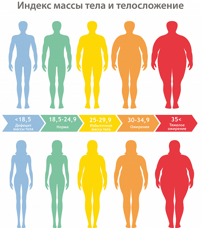 Определение ИМТ фазы избыточного веса и ожирения
