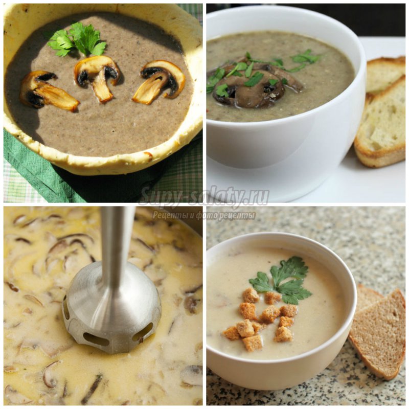 Суп-пюре из грибов - лучшие рецепты с фото. 