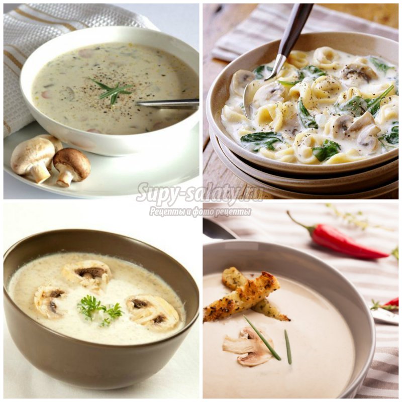 Суп-пюре из грибов - лучшие рецепты с фото. 