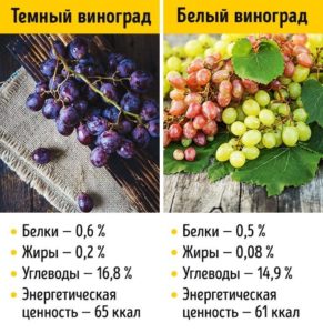 Какая калорийность винограда и чем он полезен для здоровья
